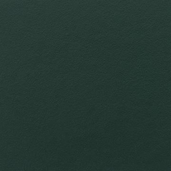 Picture of Evergreen